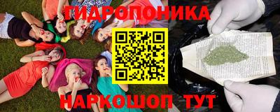 спиды Обь