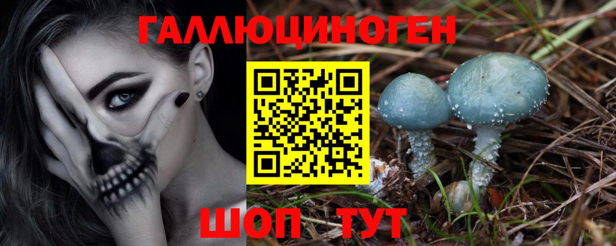 Псилоцибиновые грибы Psilocybine cubensis  Псилоцибиновые грибы MAGIC MUSHROOMS  Саров  закладки  Вход с VPN 